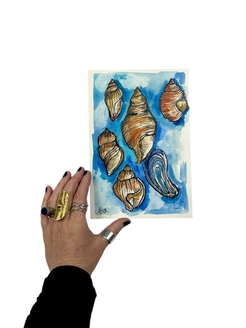 watercolor shells original