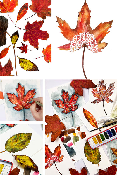 watercolor fall leaves – Alisa Burke